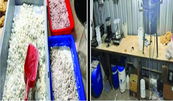 दुर्गम जंगलात मादक द्रव्याचा कारखाना उघडकीस, १९२ कोटींचे द्रव्य जप्त; डीआरआयची थेट कारवाई