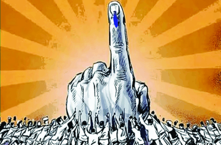 जिल्ह्यात नप निवडणुकीत २८ जागांना स्थगिती; २० रोजी पुन्हा निवडणूक